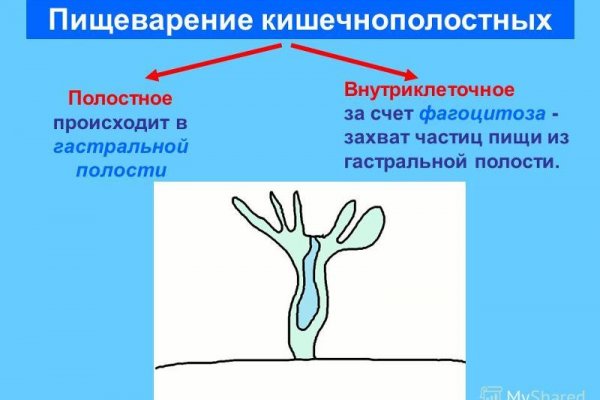 Ссылка на кракен