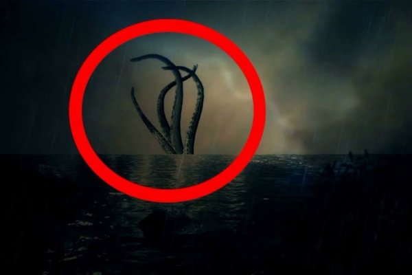 Kraken 20at net