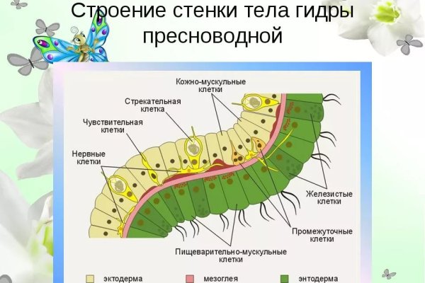 Сайт кракен официальный ссылка onion