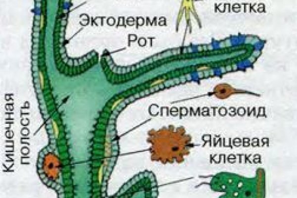 Магазин кракен как попасть