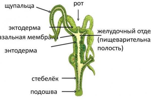 Кракен интернет площадка
