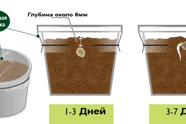 Кракен маркет только через тор