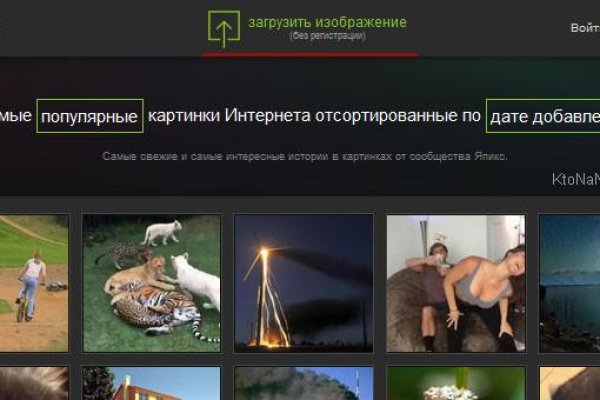 Восстановить доступ к кракену