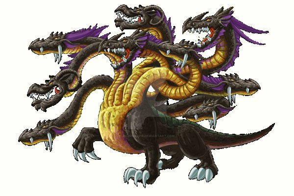 Kraken cc