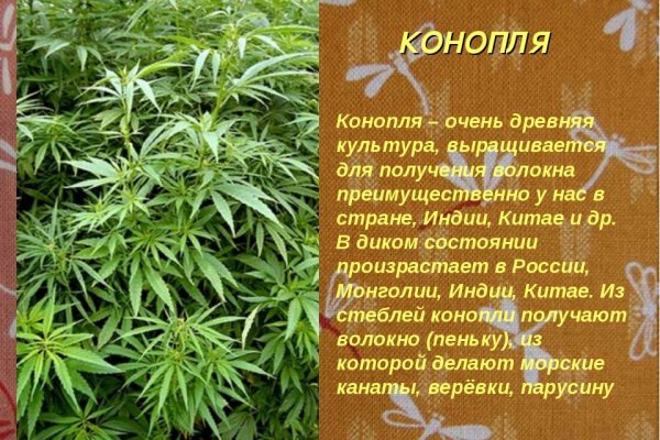 Кракен сайт вход kraken torion